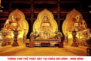 chua bai dinh tuong tam the phat 1 43010